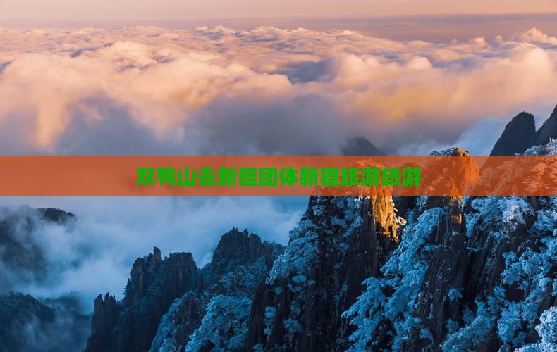 双鸭山去新疆团体旅游