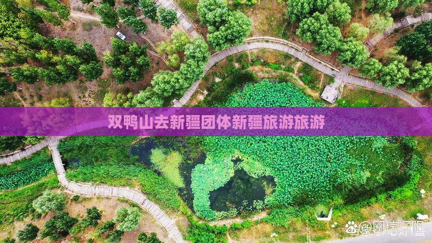 双鸭山去新疆团体旅游