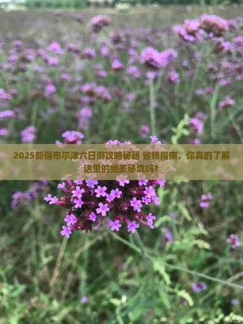 二月到新疆布尔津六日游