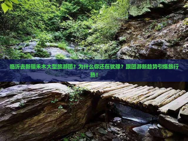 临沂去新疆禾木大型旅游团