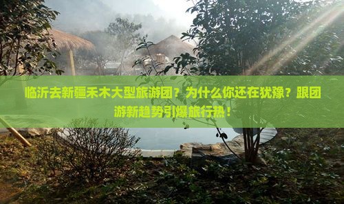 临沂去新疆禾木大型旅游团