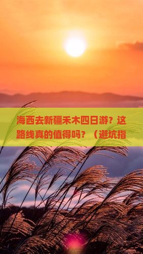 海西去新疆禾木四日游