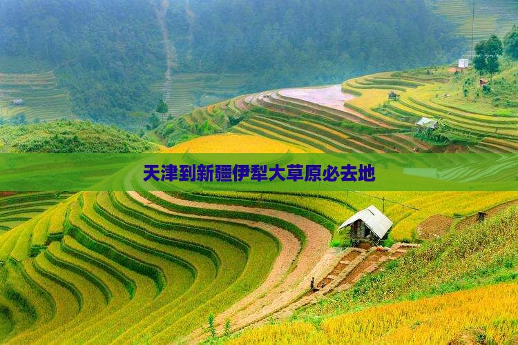 天津到新疆伊犁大草原必去地