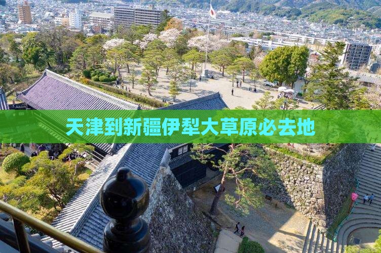 天津到新疆伊犁大草原必去地