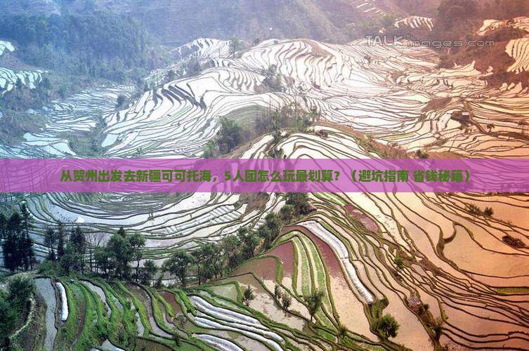 贺州到新疆可可托海团体旅游