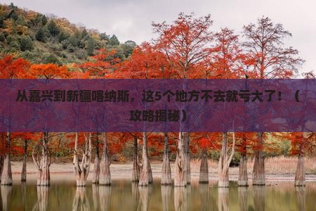 嘉兴到新疆喀纳斯必去地