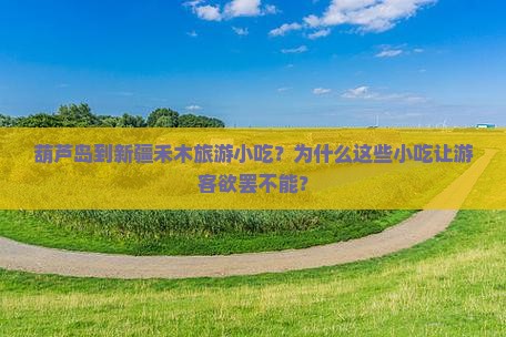 葫芦岛到新疆禾木旅游小吃