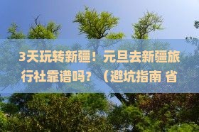 元旦去新疆旅行社