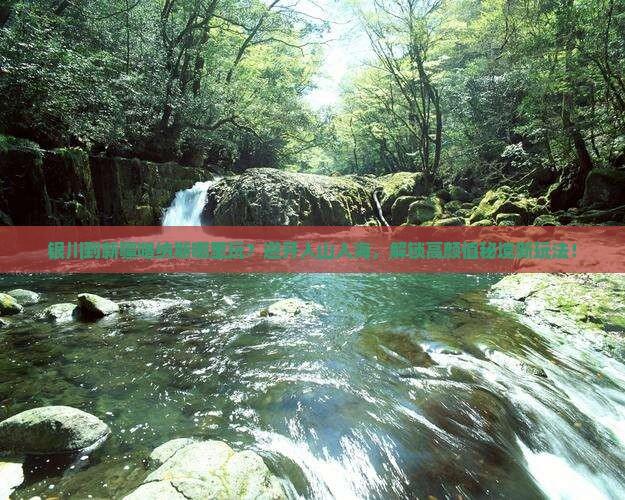 银川到新疆喀纳斯哪里玩
