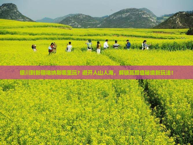 银川到新疆喀纳斯哪里玩