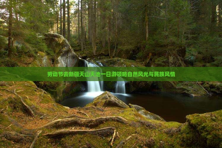 劳动节去新疆天山天池一日游领略自然风光与民族风情