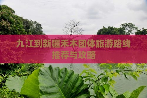九江到新疆禾木团体旅游路线推荐与攻略