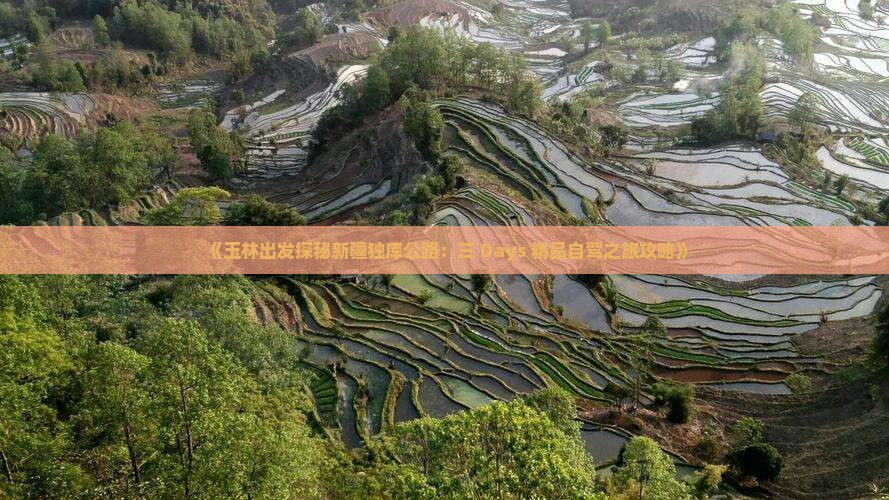《玉林出发探秘新疆独库公路：三 Days 精品自驾之旅攻略》