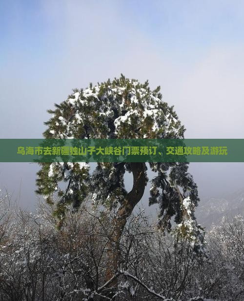 乌海市去新疆独山子大峡谷门票预订、交通攻略及游玩