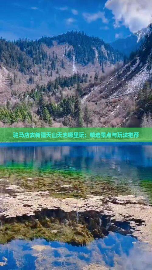 驻马店去新疆天山天池哪里玩：精选景点与玩法推荐