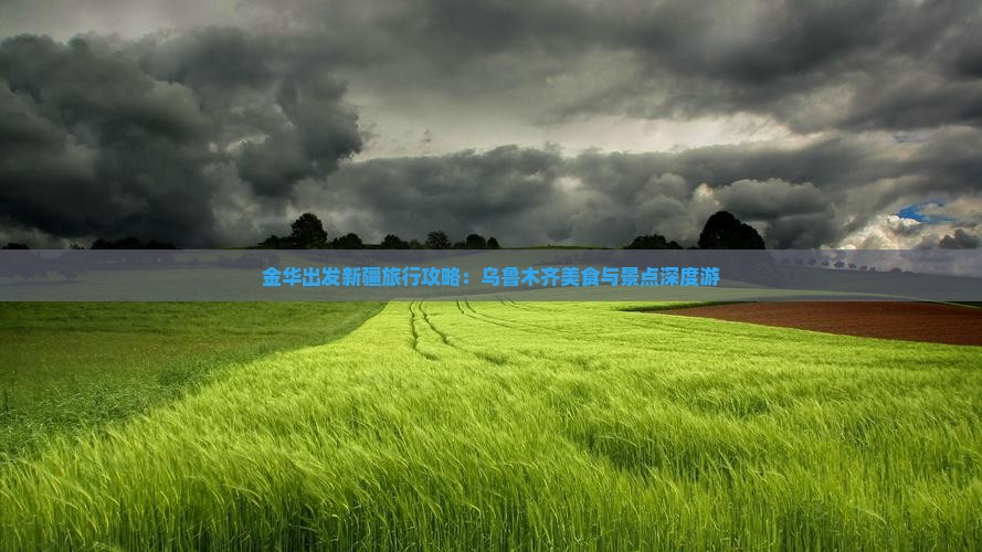 金华出发新疆旅行攻略：乌鲁木齐美食与景点深度游
