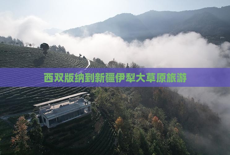 西双版纳到新疆伊犁大草原旅游