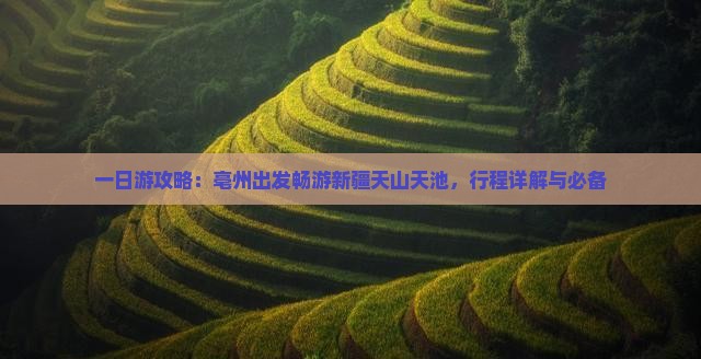 一日游攻略：亳州出发畅游新疆天山天池，行程详解与必备