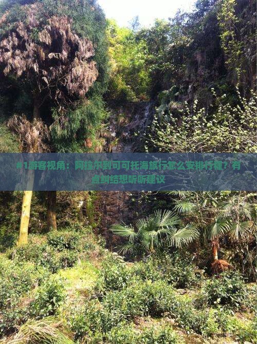 阿拉尔去新疆可可托海旅行社