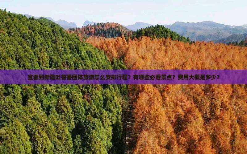宜春到新疆吐鲁番团体旅游
