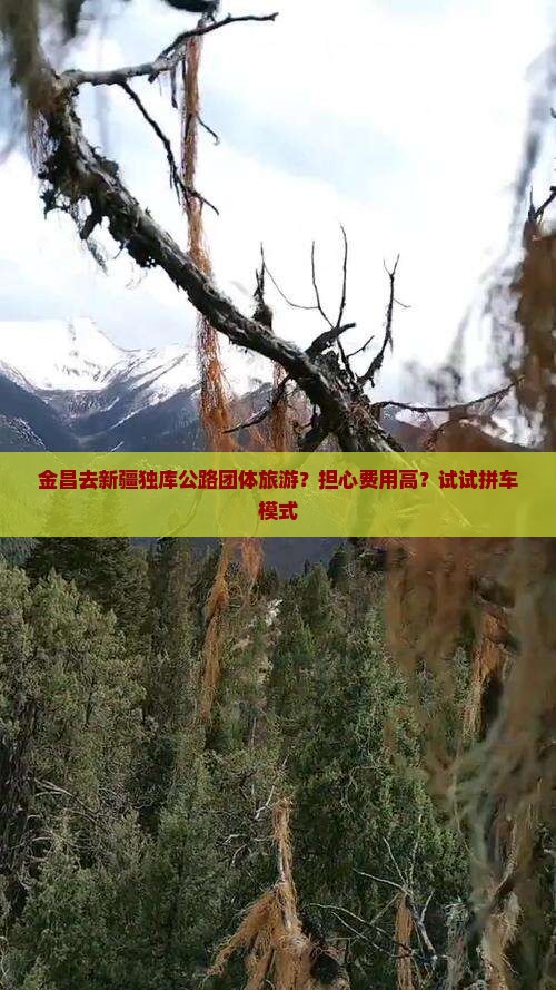 金昌去新疆独库公路团体旅游