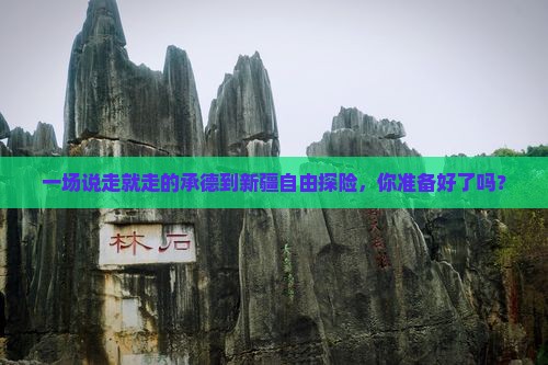 承德到新疆自由团