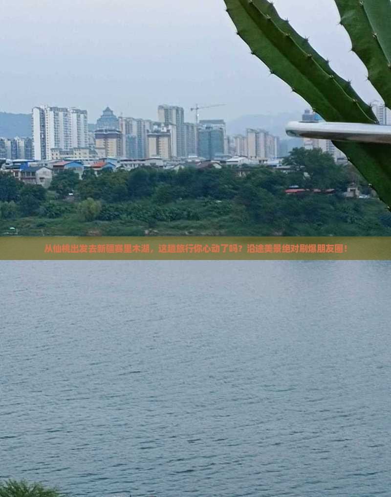 仙桃到新疆赛里木湖景点