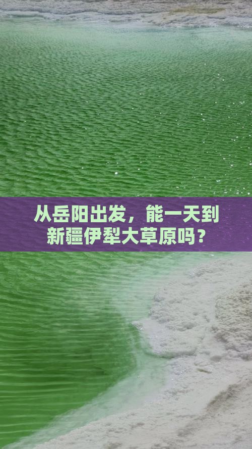 岳阳到新疆伊犁大草原一日