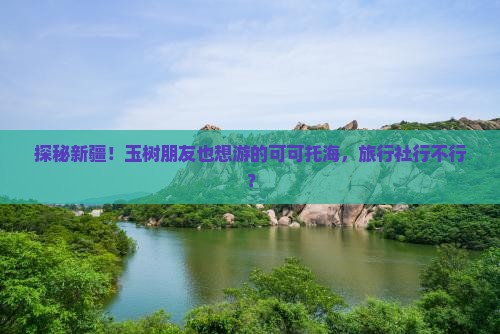 玉树到新疆可可托海旅行社
