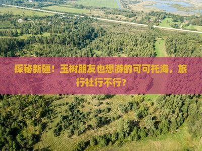 玉树到新疆可可托海旅行社