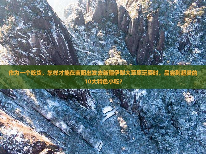 南阳去新疆伊犁大草原旅游小吃