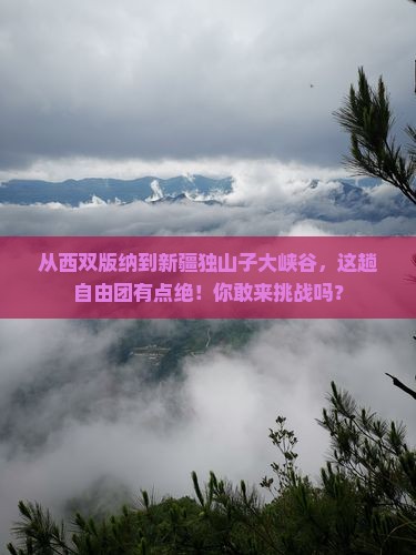 西双版纳去新疆独山子大峡谷自由团