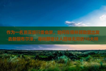 锡林郭勒盟去新疆布尔津旅游小吃