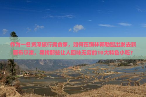 锡林郭勒盟去新疆布尔津旅游小吃