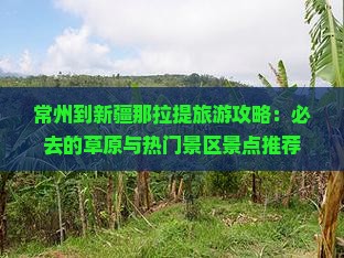 常州到新疆那拉提必去地