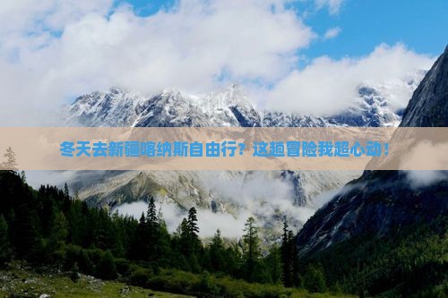冬天到新疆喀纳斯自由团