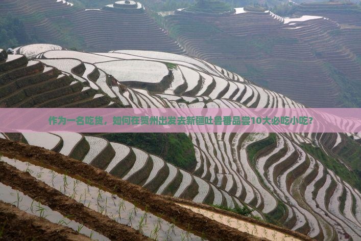 贺州到新疆吐鲁番旅游小吃