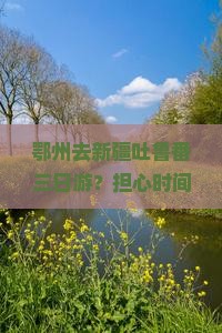 鄂州去新疆吐鲁番三日游