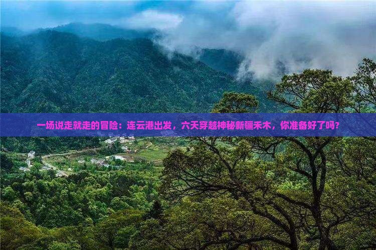 连云港到新疆禾木六日游