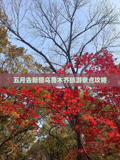 五月去新疆乌鲁木齐哪里玩