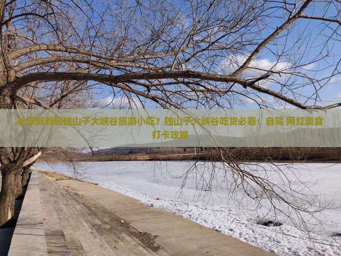松原到新疆独山子大峡谷旅游小吃
