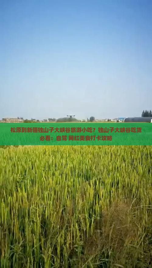 松原到新疆独山子大峡谷旅游小吃