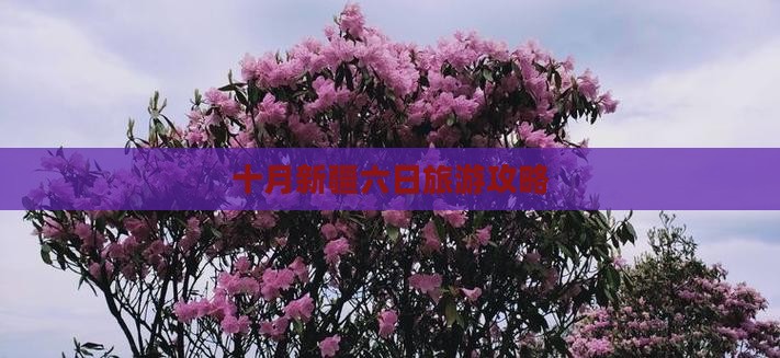 十月去新疆六日游