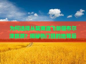陇南去新疆布尔津旅游