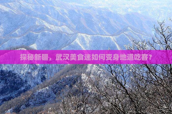 武汉去新疆旅游小吃
