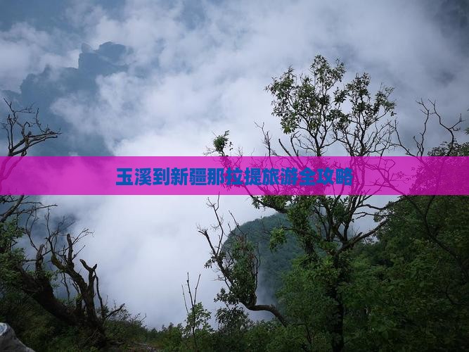 玉溪到新疆那拉提旅游