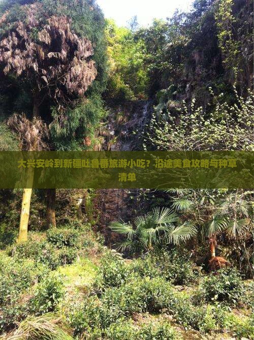 大兴安岭到新疆吐鲁番旅游小吃