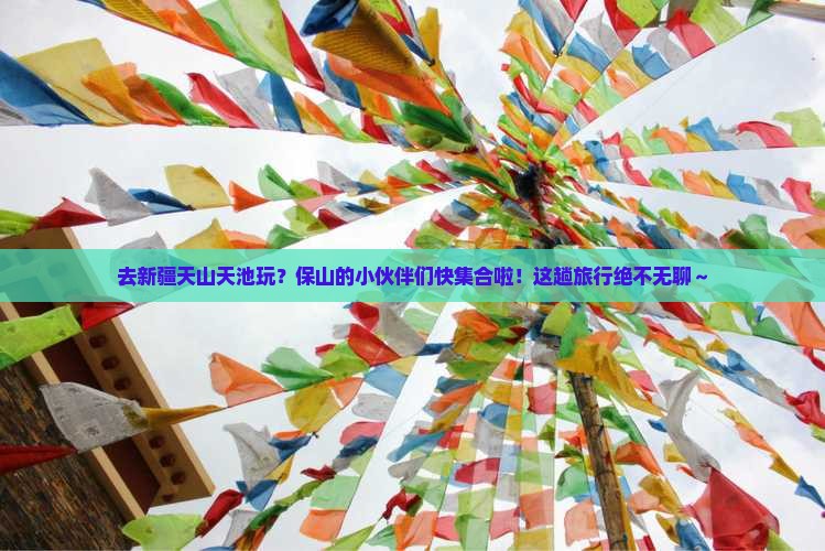 保山去新疆天山天池团体旅游