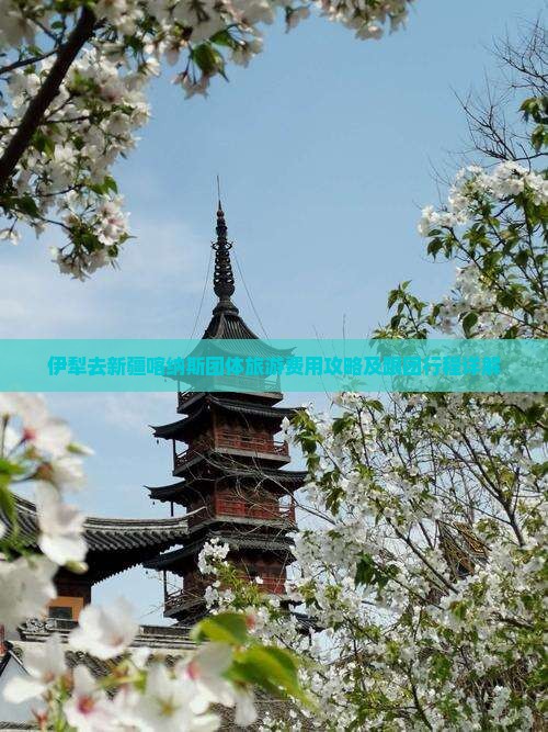 伊犁去新疆喀纳斯团体旅游