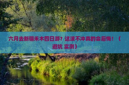 六月去新疆禾木四日游